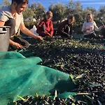 Special Farmstay, Faia-guarda * Faia