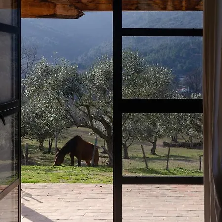 Special Farmstay, Faia-guarda 아파트 Faia
