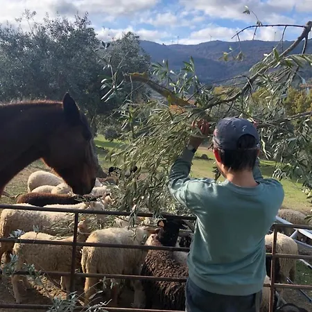 Special Farmstay, Faia-guarda 아파트 Faia