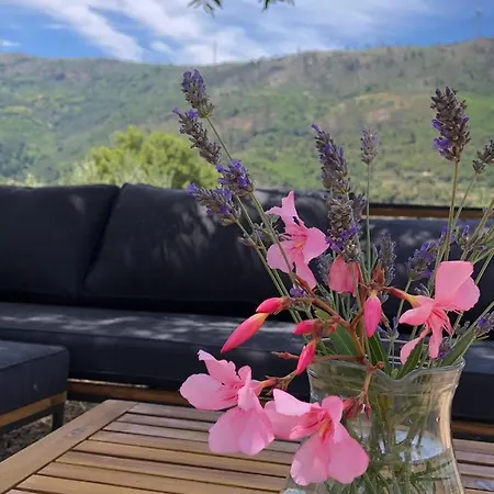 Special Farmstay, Faia-guarda * Faia