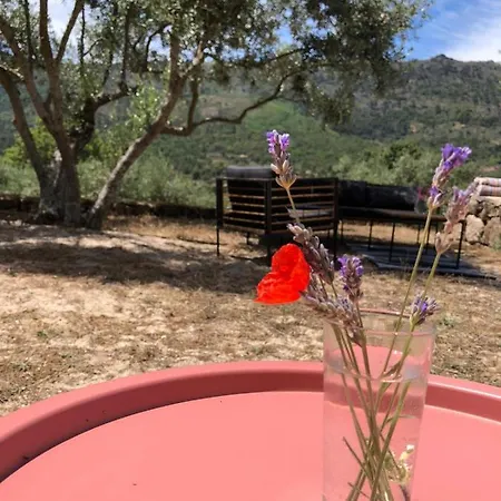 Special Farmstay, Faia-guarda Faia