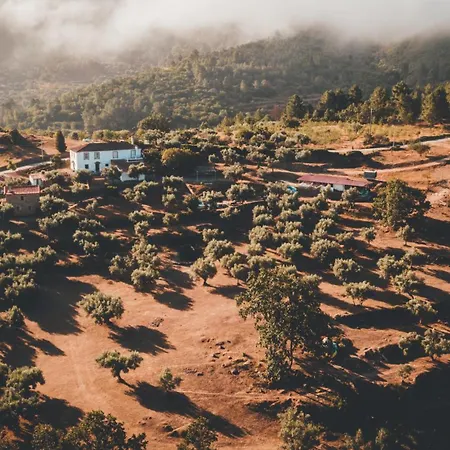 Special Farmstay, Faia-guarda Faia