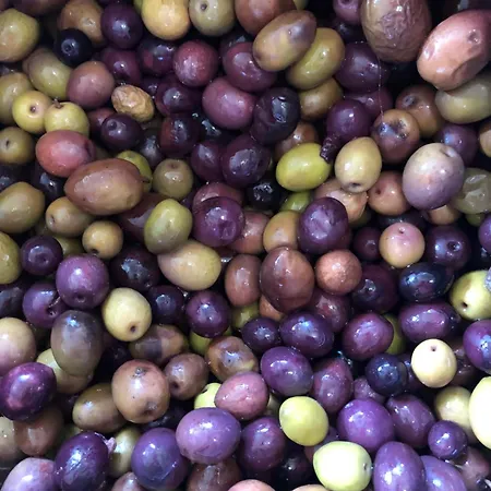 Special Farmstay, Faia-guarda * Faia