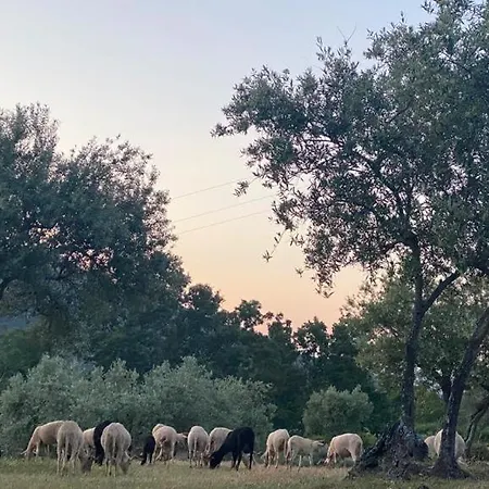 Special Farmstay, Faia-guarda 아파트 Faia