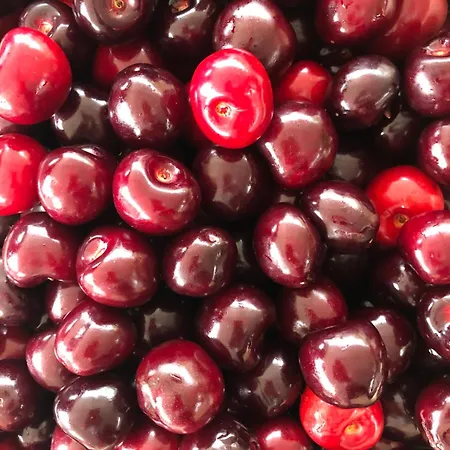 Special Farmstay, Faia-guarda 아파트