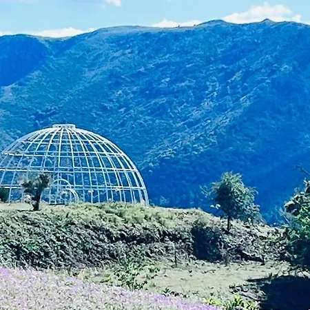 Special Farmstay, Faia-guarda *