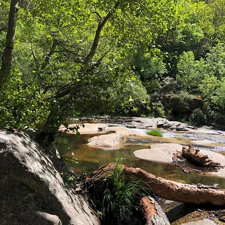 Special Farmstay, Faia-guarda *