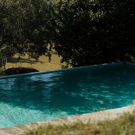 Special Farmstay, Faia-guarda * Faia