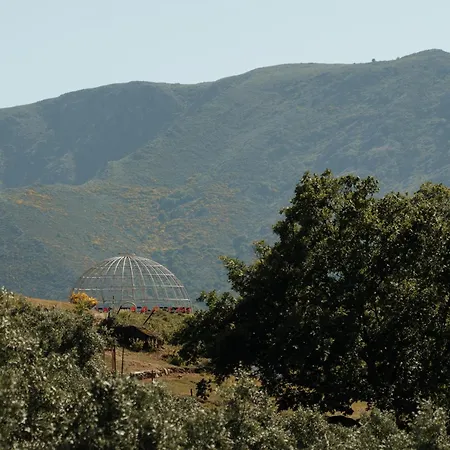 Special Farmstay, Faia-guarda * Faia