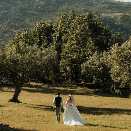 Special Farmstay, Faia-guarda شقة Faia