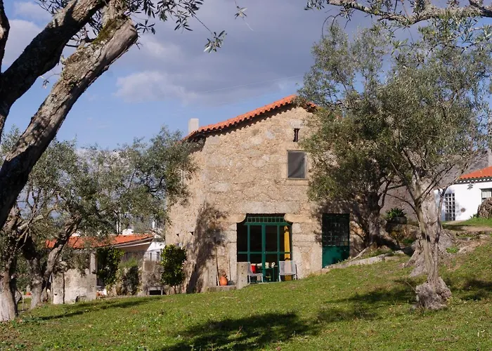 Special Farmstay, Faia-guarda * Faia