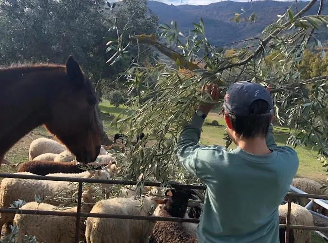 Special Farmstay, Faia-guarda Apartment Faia