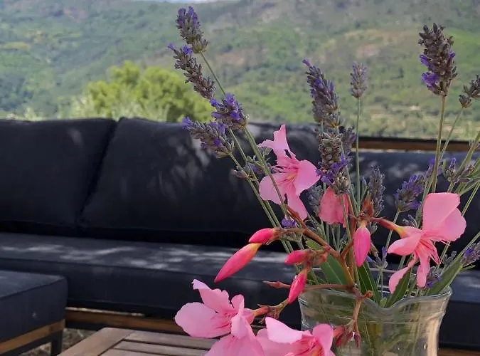 Special Farmstay, Faia-guarda * Faia