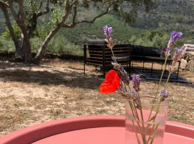 Special Farmstay, Faia-guarda Faia