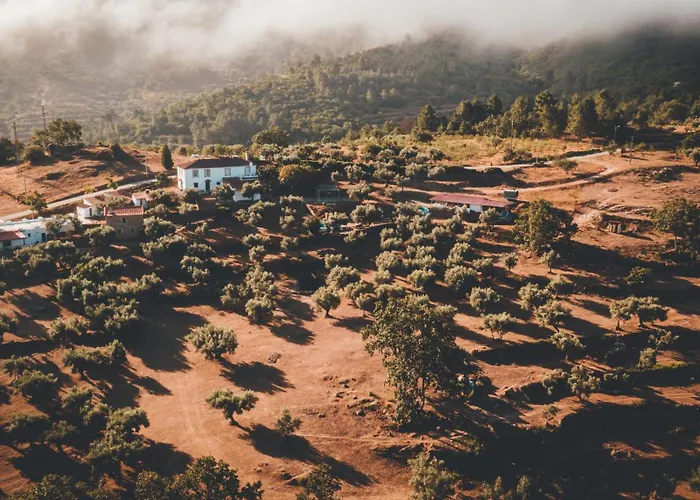 Special Farmstay, Faia-guarda Faia