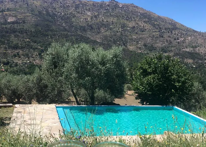 Apartment Special Farmstay, Faia-guarda Faia