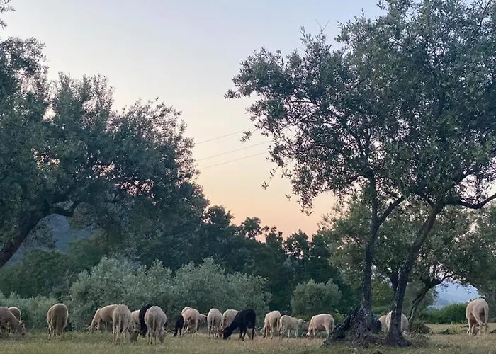 Special Farmstay, Faia-guarda Apartment Faia