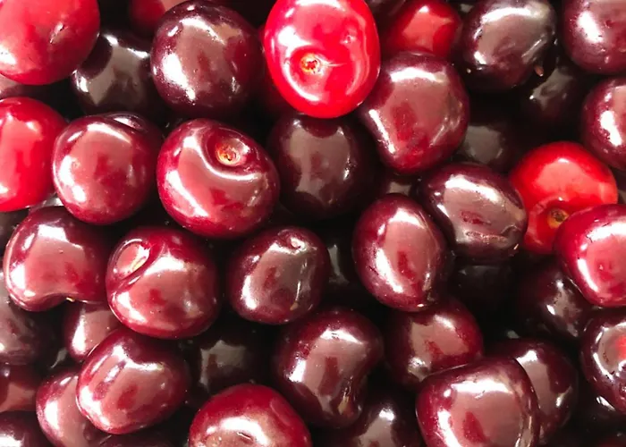 Special Farmstay, Faia-guarda Apartment