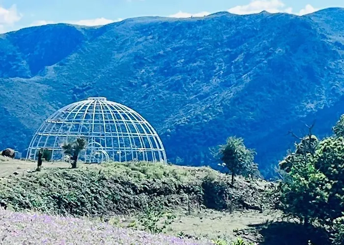 Special Farmstay, Faia-guarda *