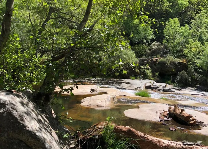 Special Farmstay, Faia-guarda *