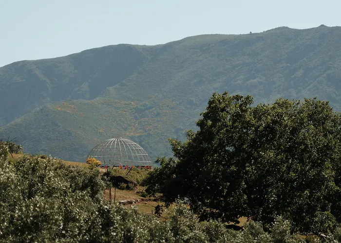 Special Farmstay, Faia-guarda * Faia