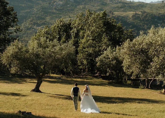 Special Farmstay, Faia-guarda Apartment Faia